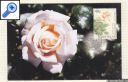 stamp photo