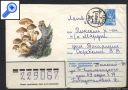 фото почтовой марки: Конверт Грибы Опенок Осенний
