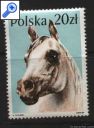 фото почтовой марки: Лошади Польша 1989 года