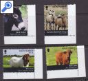 stamp photo