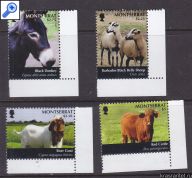 stamp photo