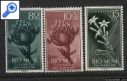 фото почтовой марки: Испанские колонии Рио Муни Флора №139