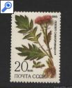 фото почтовой марки: Лекарственные растения Сибири Левзея