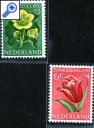 фото почтовой марки: Нидерланды Цветы 1952 год Михель 588-592