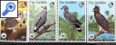 фото почтовой марки: Птицы Коллекция Гамбия 1978 год Михель 374-377