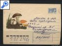фото почтовой марки: Конверт Грибы Подберезовик