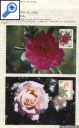 фото почтовой марки: Тайвань Коллекция 1997 год Открытки-Розы