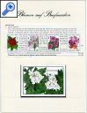 фото почтовой марки: Цветы Коллекция B