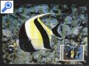 фото почтовой марки: Картмаксимум Морская Фауна 5