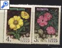 фото почтовой марки: СССР 1977 год Цветы гор Сибири