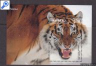 ����: �������� ����� ����� ����� ����-������� ��������� 2014