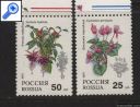фото почтовой марки: Новая Россия 1993 год Комнатные растения
