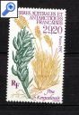 фото почтовой марки: ТААФ Растение
