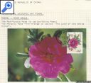 stamp photo